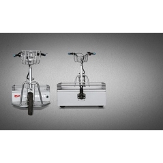 Tricycle électrique d'occasion 250 kg EP - QDD03