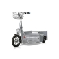 Location tricycle électrique 250 kg EP